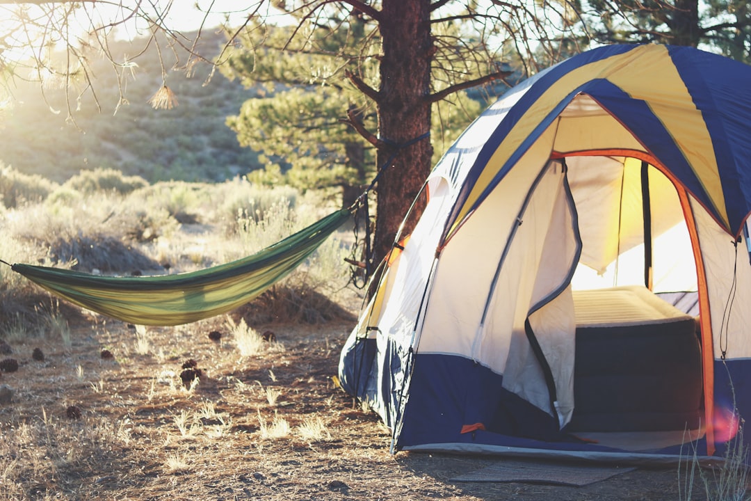Oplev den Ultimative Overnatning i Ribe: En Guide til Ribe Camping