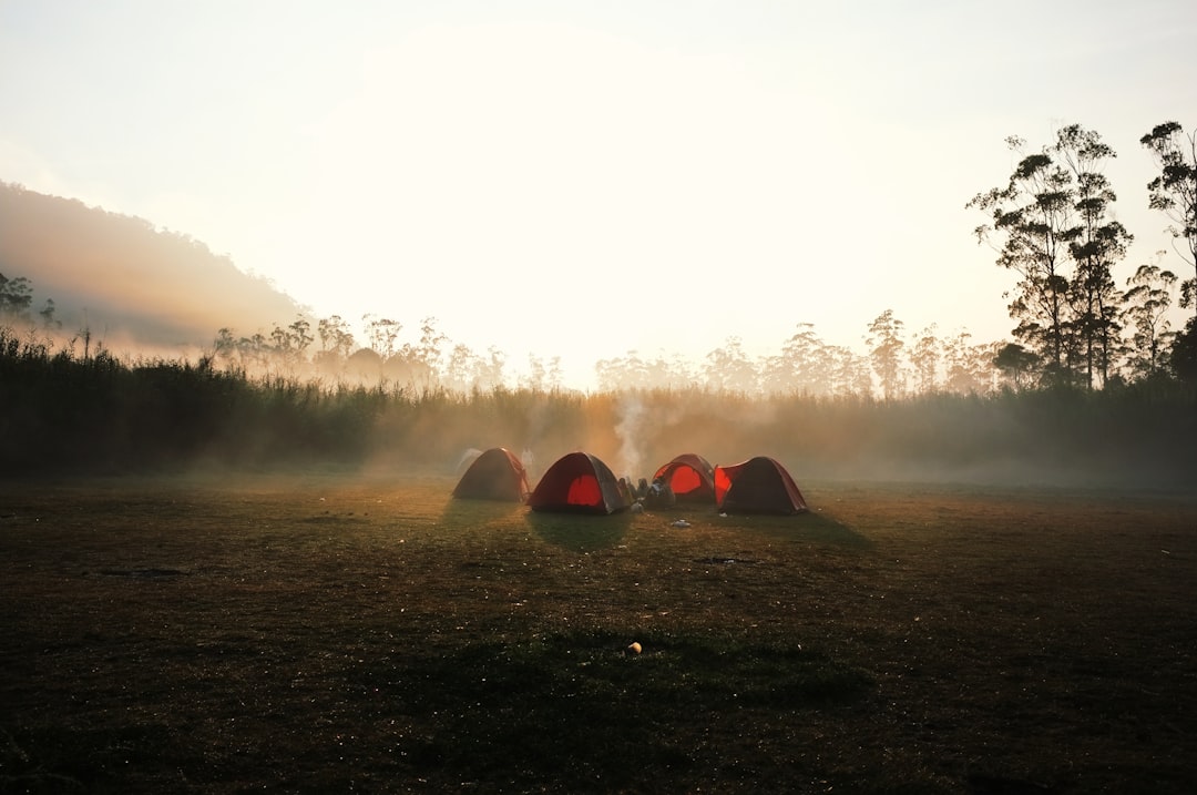 Oplev Charme og Naturskønhed på en Campingplads i Ribe