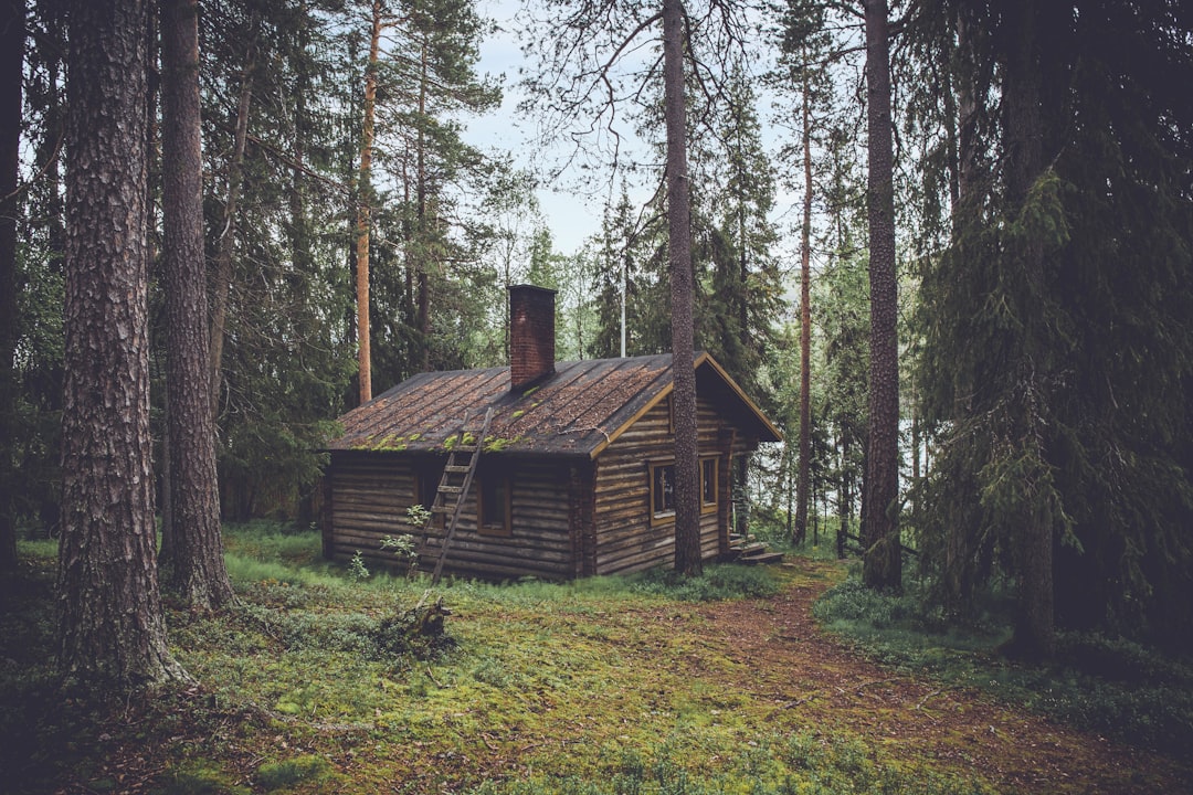 Oplev Unikke Ferieoplevelser i Campinghytter på Djursland